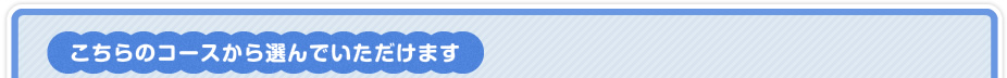 こちらのコースから選んでいただけます